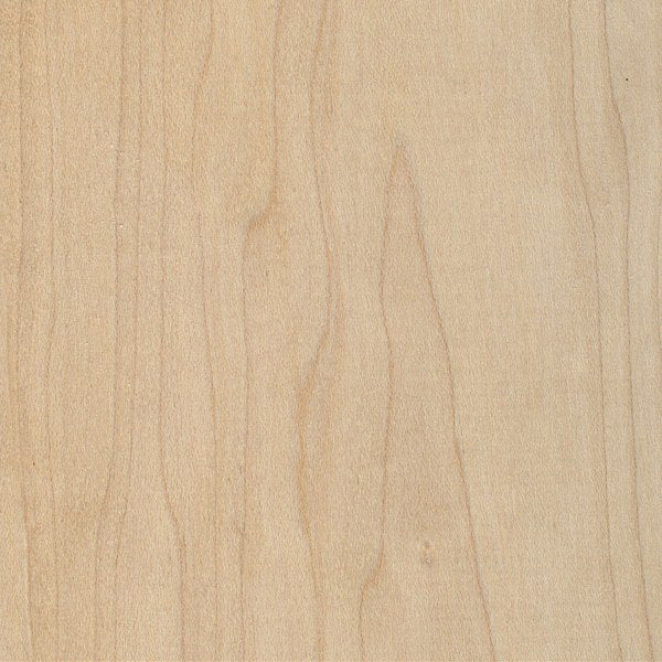 hard maple