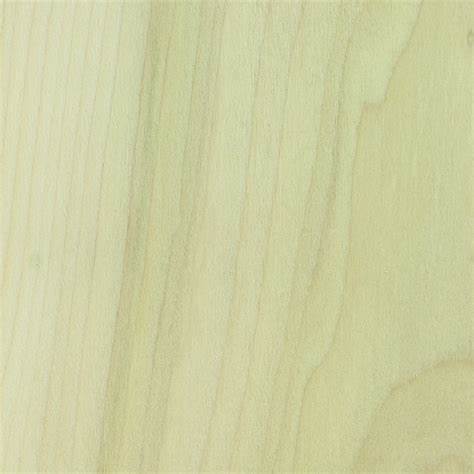 poplar