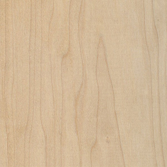 hard maple